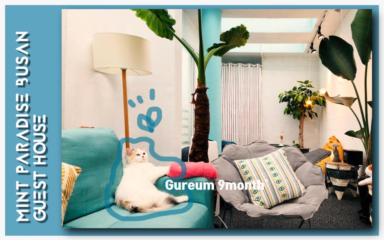 Mint Paradise بوسان المظهر الخارجي الصورة